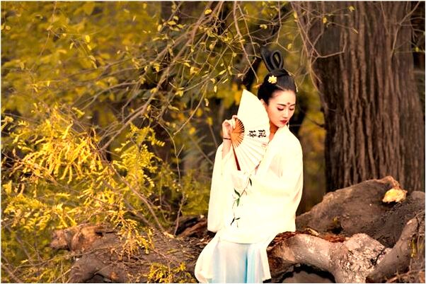 夢到了張農嚴藝是什麼意思_周公解夢官網