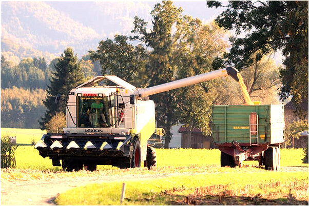 夢到拾到一男孩意味什麼_周公解夢官網