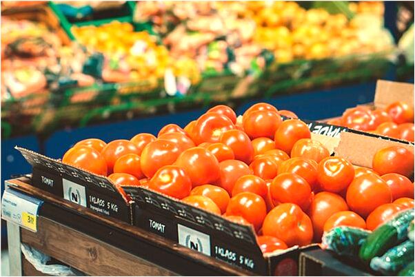 夢見以前租的房子會是什麼預兆_周公解夢官網