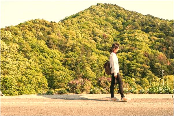 夢見被狗追進監獄是什麼啟示_周公解夢官網