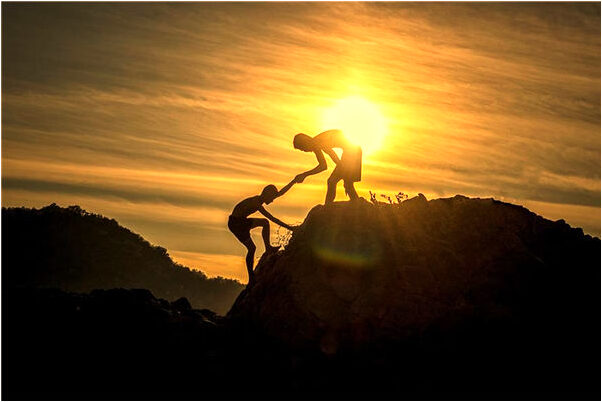 夢見砍槐樹是好是壞_周公解夢官網