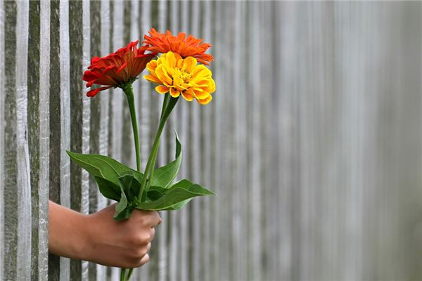 夢到了男朋友送禮物是什麼徵兆_周公解夢