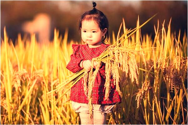 夢見舅舅哭是什麼預兆_周公解夢官網