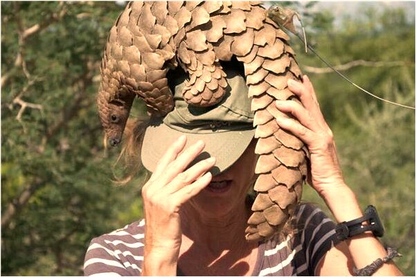 夢見跑車自然會怎么樣_周公解夢官網