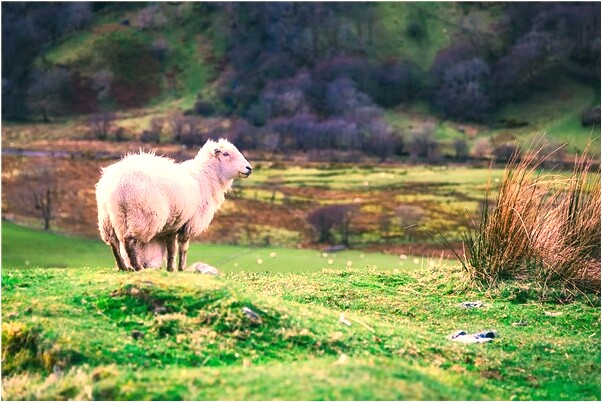 夢見小男孩脫光衣服預示了什麼_周公解夢官網