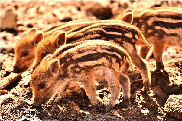 夢見和光著身子的男人躺在一起有什麼預示嗎_周公解夢官網