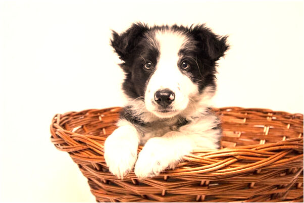 夢到喜歡的人和妹妹在這起預示什麼_周公解夢官網