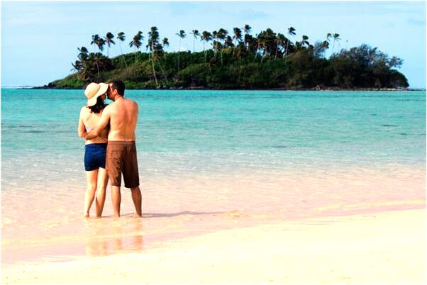 夢到了田裡一片綠色的秧是咋回事_周公解夢官網