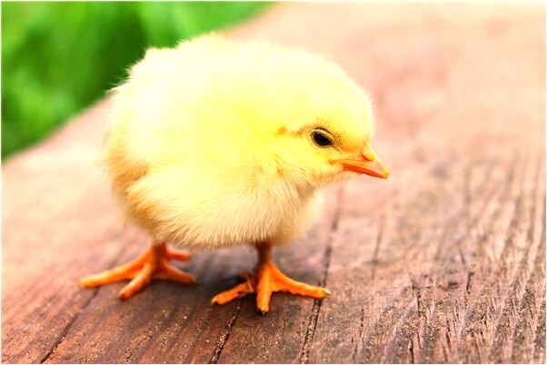 夢到了前男友的外公去世預示什麼_周公解夢官網