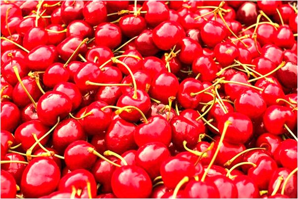 夢見前男友發簡訊給我代表著什麼？_周公解夢官網