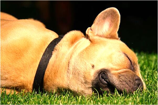 夢到自己和別的男人發生性關係怎么說_周公解夢官網