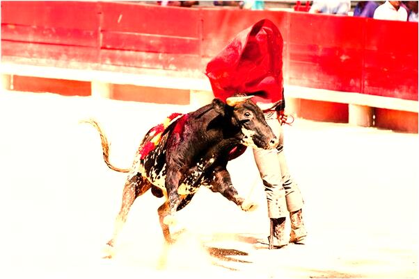 夢到了自己撿個核桃給了小孩有什麼徵兆_周公解夢官網