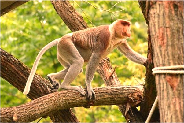 夢到戀人因我頭破血流有什麼預示嗎_周公解夢官網