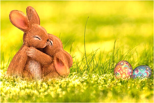 夢見別人家的狗狗死在我屋裡預兆了什麼嗎_周公解夢官網