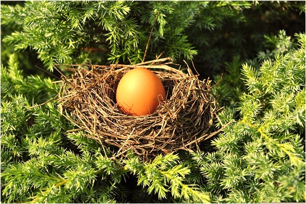 夢見樹上有許多蛇意味著什麼_周公解夢官網