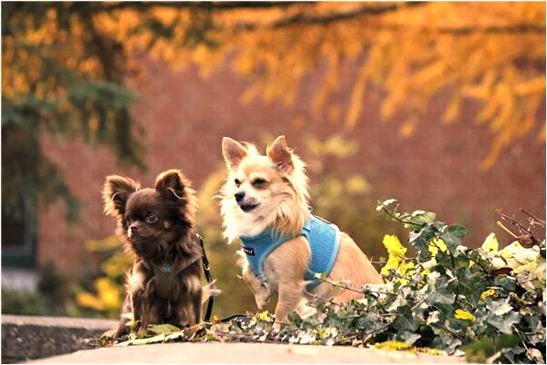 夢見別人咬手指有什麼意義嗎_周公解夢官網