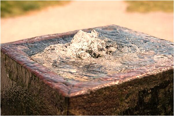 夢到了土地被圈成方框還有小苗是什麼徵兆_周公解夢官網