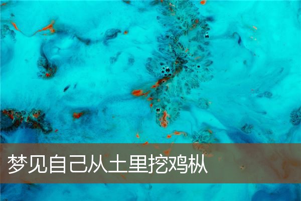 夢見自己從土裡挖雞樅_周公解夢