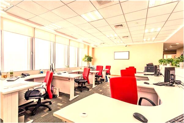 夢到抓了只烏龜是好是壞_周公解夢官網