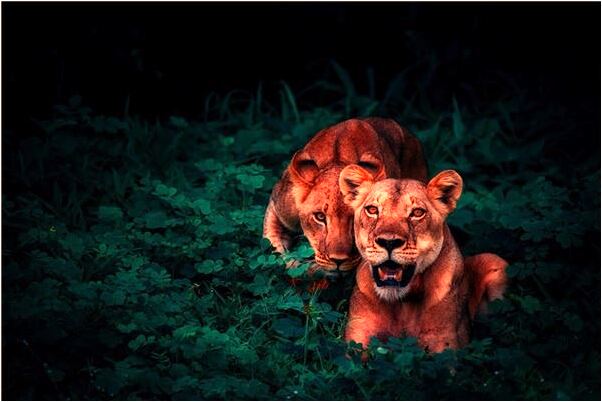 夢到針刺腳底不見血是好是壞_周公解夢官網