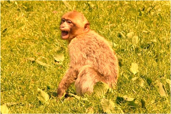 夢見鬼嚇人的預兆_周公解夢官網