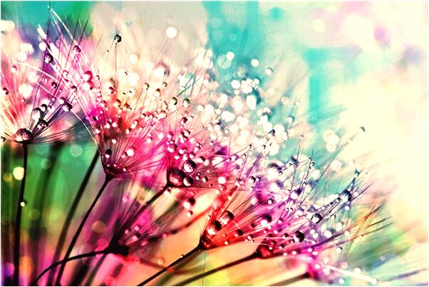 夢到種了一片林子意味著什麼_周公解夢官網