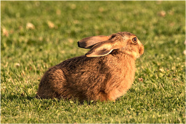 夢到給老婆吃醋有什麼說法_周公解夢官網