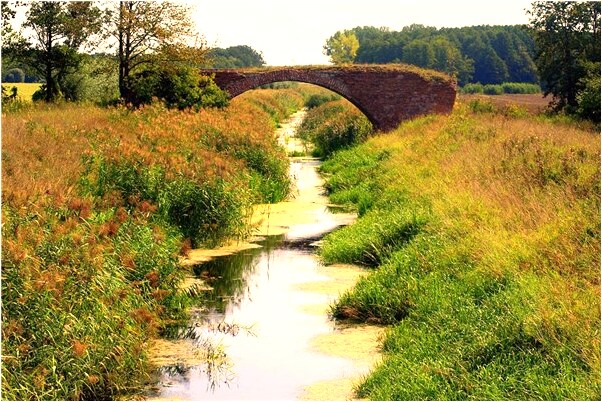 夢見妹妹哭著叫我借四十給她什麼寓意_周公解夢官網