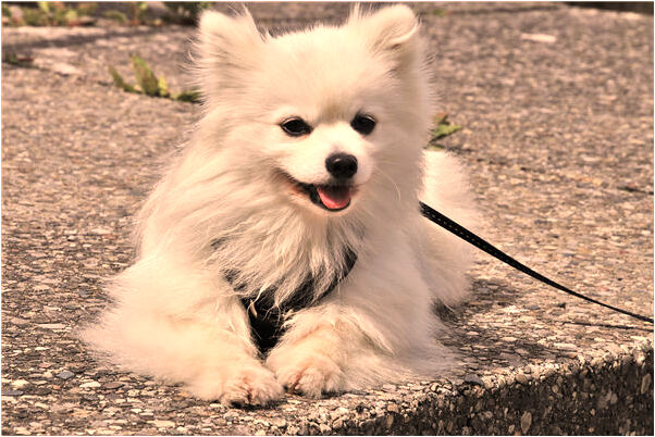 夢到了一時一亂情迷被陌生人破處是什麼預兆_周公解夢官網