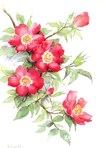 12星座一見鍾情發生的幾率_十二星座