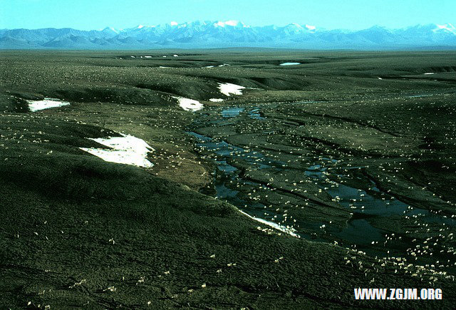 夢見口吐異物_周公解夢夢到口吐異物是什麼意思_做夢夢見口吐異物好不好_周公解夢官網