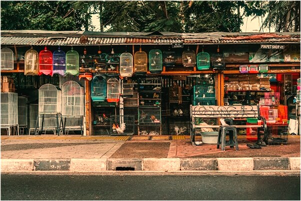 夢到了找自己內褲是凶兆還是吉兆_周公解夢官網