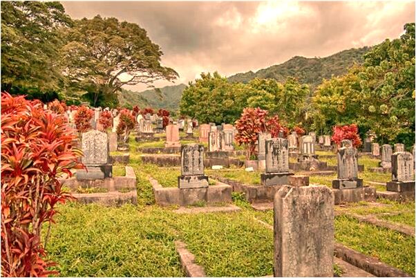 夢到了自己力氣大預示什麼_周公解夢官網