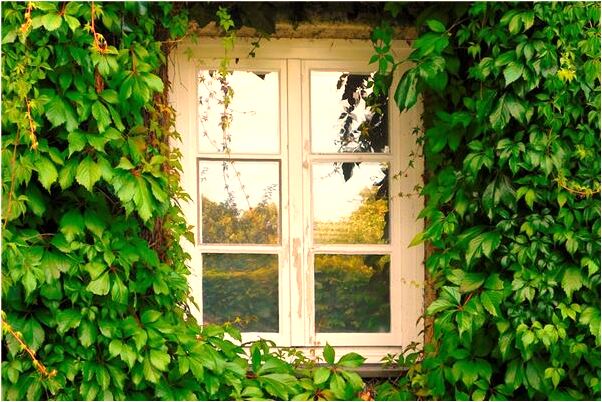 夢到了一隻拖鞋怎么說_周公解夢官網