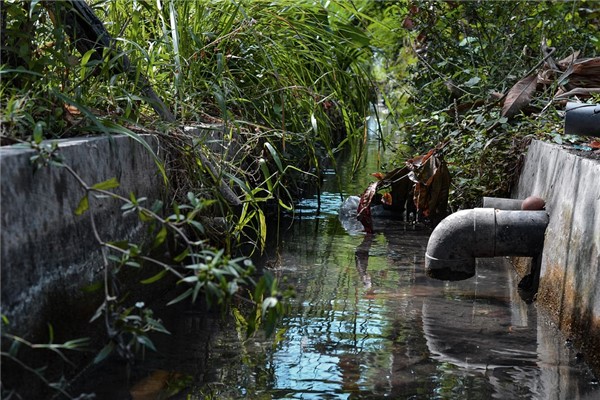 夢見渾濁預示什麼_周公解夢