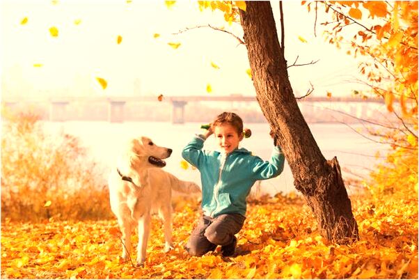 夢到死去的未婚夫打電話是啥意思_周公解夢官網