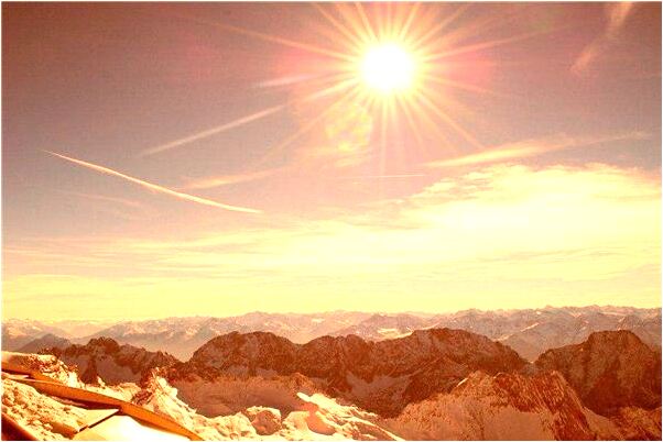 夢見自己殺別人家的狗怎么回事_周公解夢官網