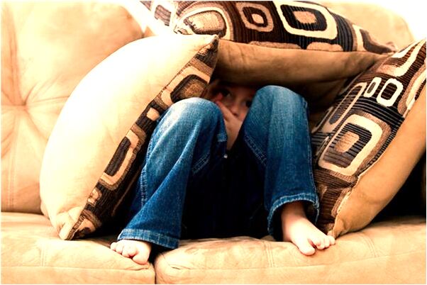 夢到了砍桃樹有什麼寓意嗎？_周公解夢官網