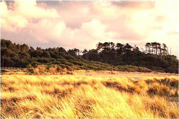 夢見變成女人和人做愛會是什麼預兆_周公解夢官網