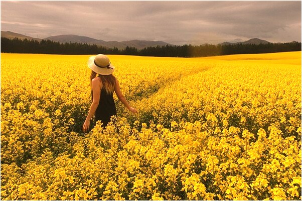 夢到了上司離職意味著什麼_周公解夢官網