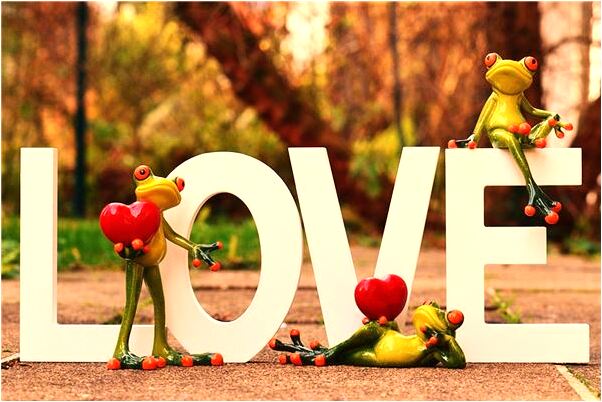 夢到了路下面有個火坑預示了什麼_周公解夢官網