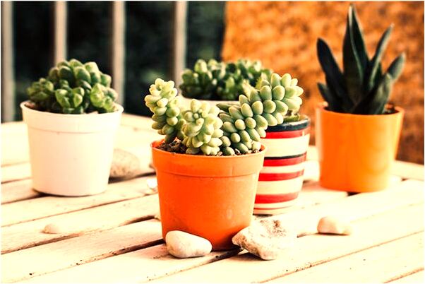 夢見什麼事也沒幹成是什麼兆頭_周公解夢官網