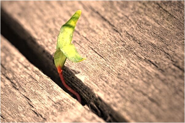 夢見船在水上急速行駛預兆了什麼嗎_周公解夢官網