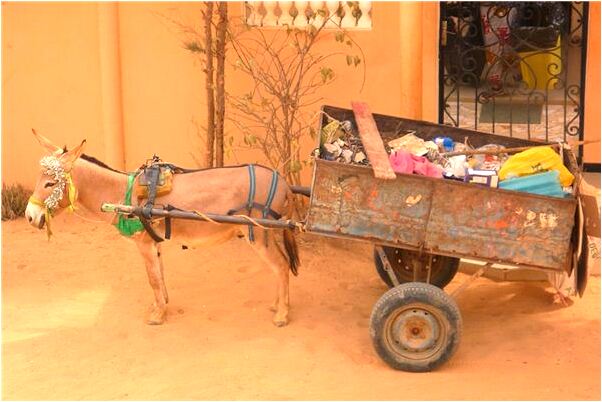 夢到父親手受傷有什麼寓意嗎_周公解夢官網