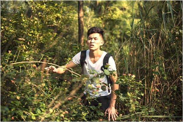 夢到了在海邊石頭上躺著聽歌預兆了什麼嗎_周公解夢官網