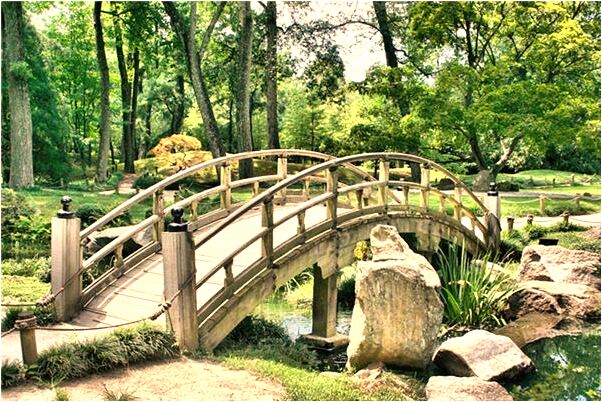 夢到了褲子刮壞有什麼意義嗎_周公解夢官網