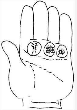 Palm xun from the internality of a bulge