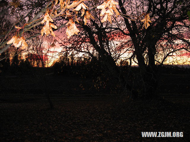 夢見有貓上床產孑_周公解夢夢到有貓上床產孑是什麼意思_做夢夢見有貓上床產孑好不好_周公解夢官網