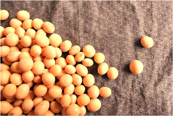 夢到了去世的堂弟會是什麼預兆_周公解夢官網