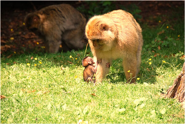 夢到女孩對我有意思好不好_周公解夢官網